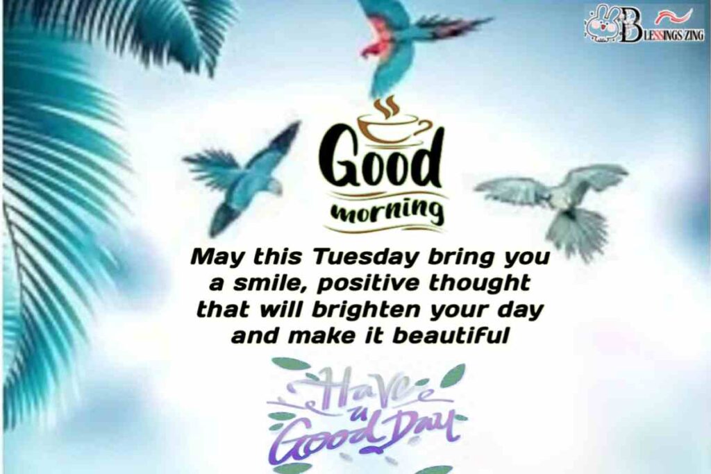 good morning Tuesday blessing. the image show Smile with a bright, positive thought on a beautiful Tuesday