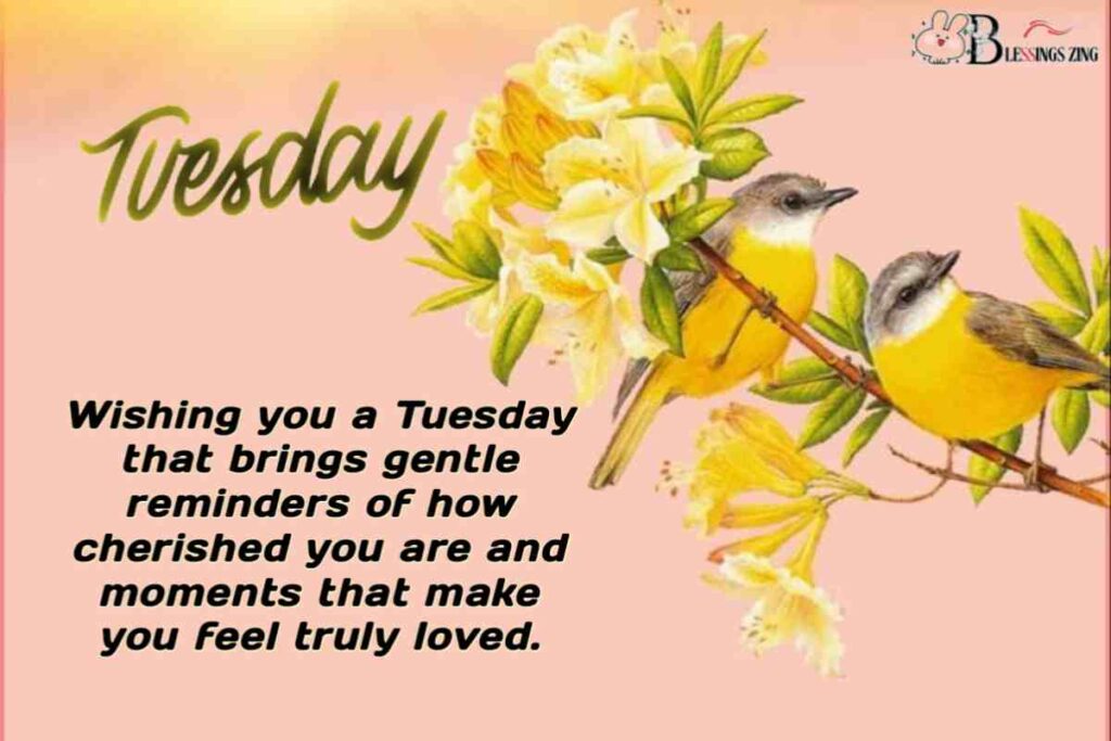 The image wishes for a beautiful Tuesday filled with gentle reminders of their worth and special moments that bring a deep sense of love and appreciation.