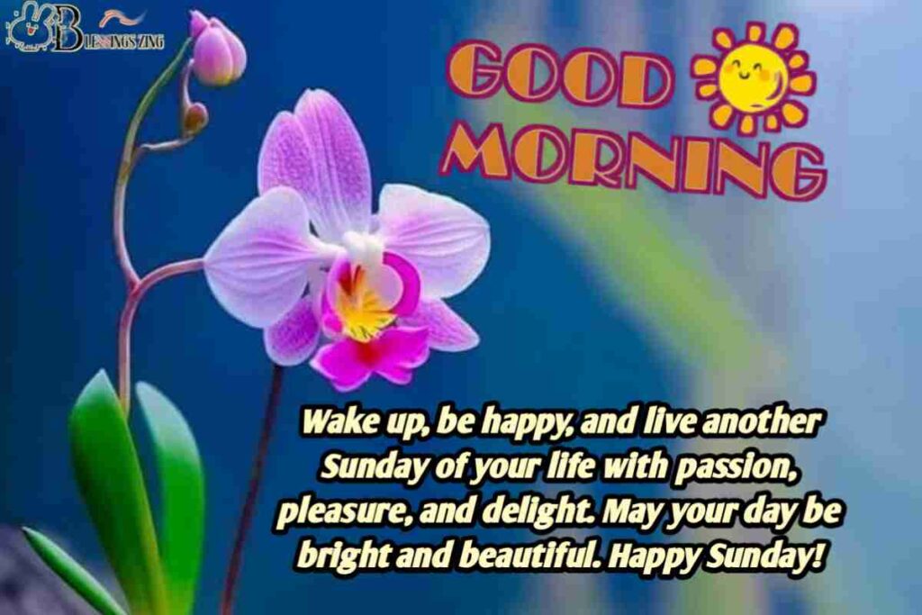 Sunday morning blessings. image show morning background and blessing with beautiful flower