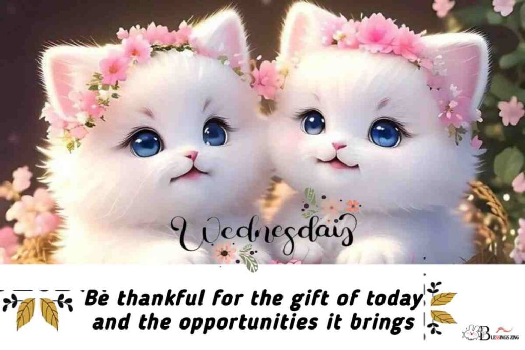 129 Happy Wednesday Blessings, Quotes & Prayers to Inspire you