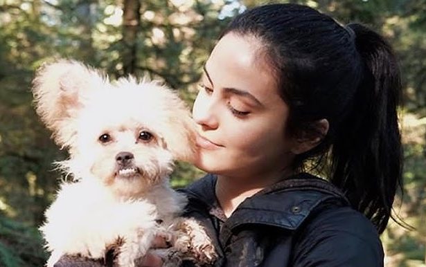 10 Ways Pets Help Individuals Cope with PTSD