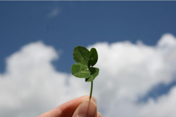 Good Luck Doesn’t Just Happen; You Have to Go After It