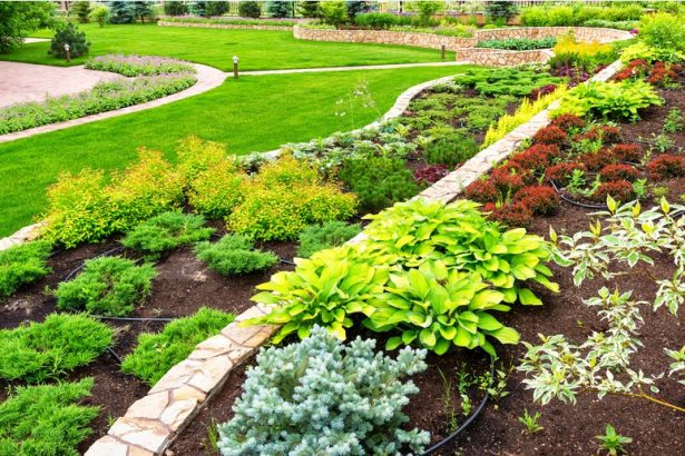Essential Techniques for Landscaping Construction and Design