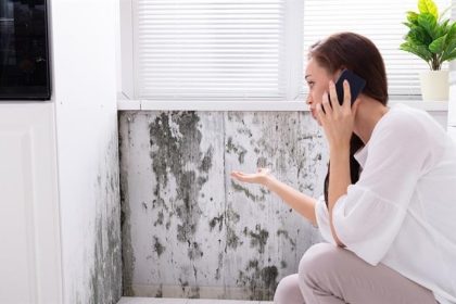 The Hidden Places Black Mold Grows in Your Home