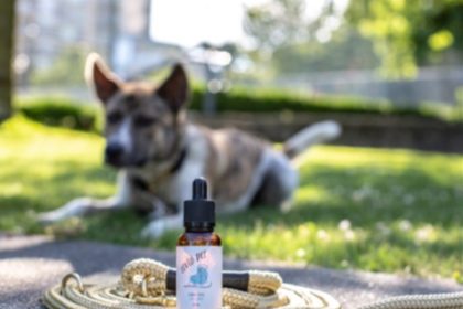 Why a CBD Spray Might Be the Easiest Way to Help Your Pet’s Joint Pain