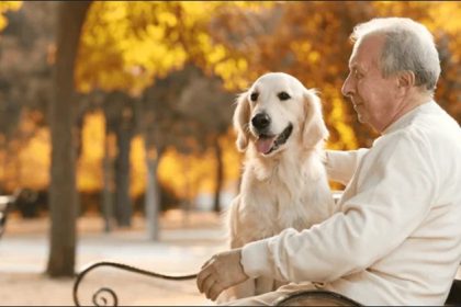 5 Ways to Support the Health of Your Senior Dog