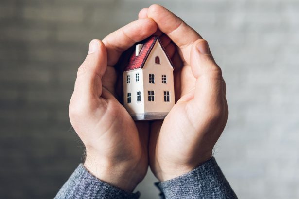 How to Keep Your Home Safe from Unwanted Crawlers with Professional Help