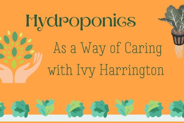 Hydroponics As a Way of Caring with Ivy Harrington