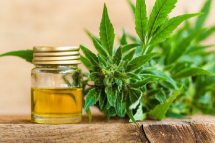 CBD Flower Benefits You Should Know