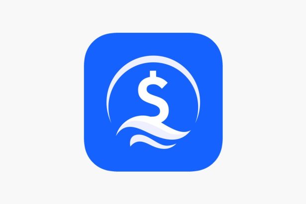 Cash Wave and Payday Loans: Why Our App is the Choice of Preference