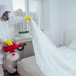 Effective Bed Bug Control in Orlando: A Key Aspect of Pest Control Management