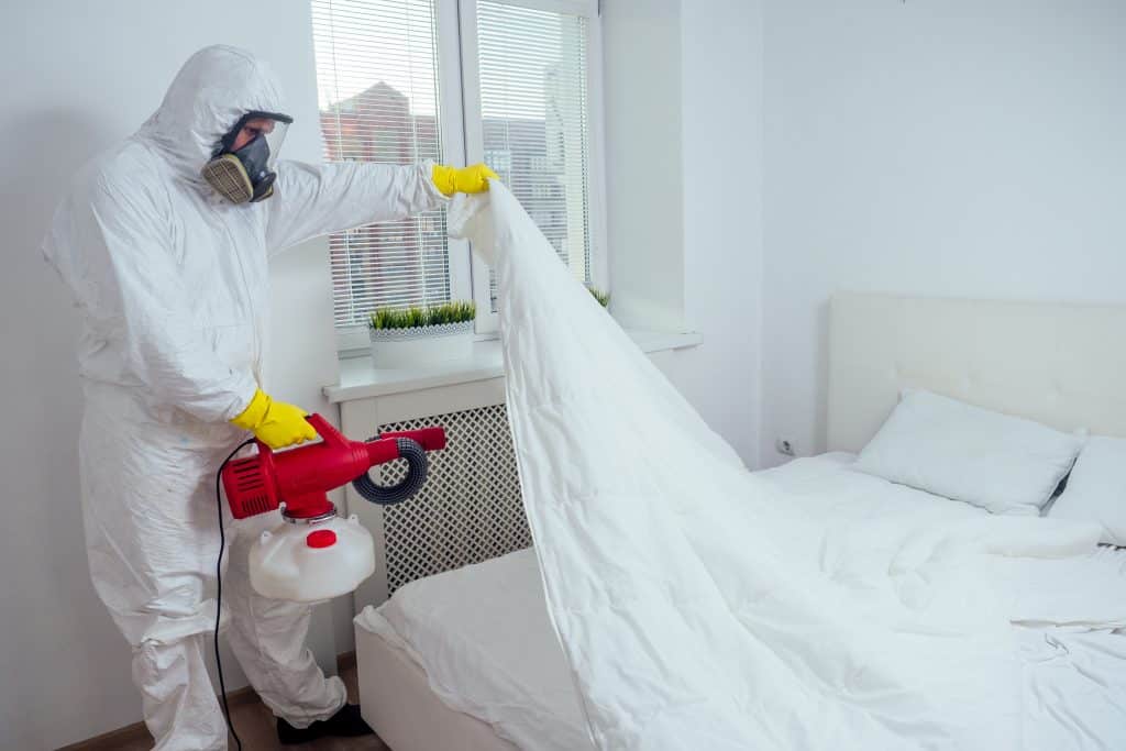 Effective Bed Bug Control in Orlando: A Key Aspect of Pest Control Management