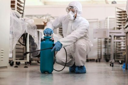 Long-Term Advantages of Investing in Professional Pest Control Services