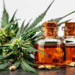 New Jersey’s Most Popular Dispensary Labels of 2025