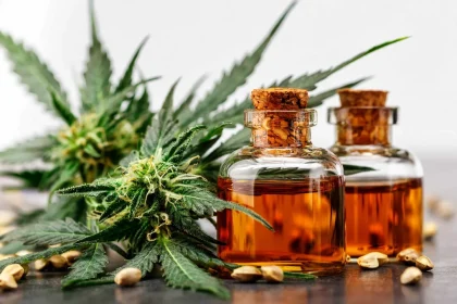 New Jersey’s Most Popular Dispensary Labels of 2025