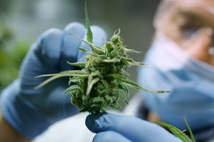 Simplify Your Ohio Medical Card Application: A Step-by-Step Guide for Cannabis Access