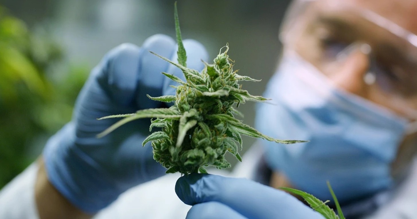 Simplify Your Ohio Medical Card Application: A Step-by-Step Guide for Cannabis Access