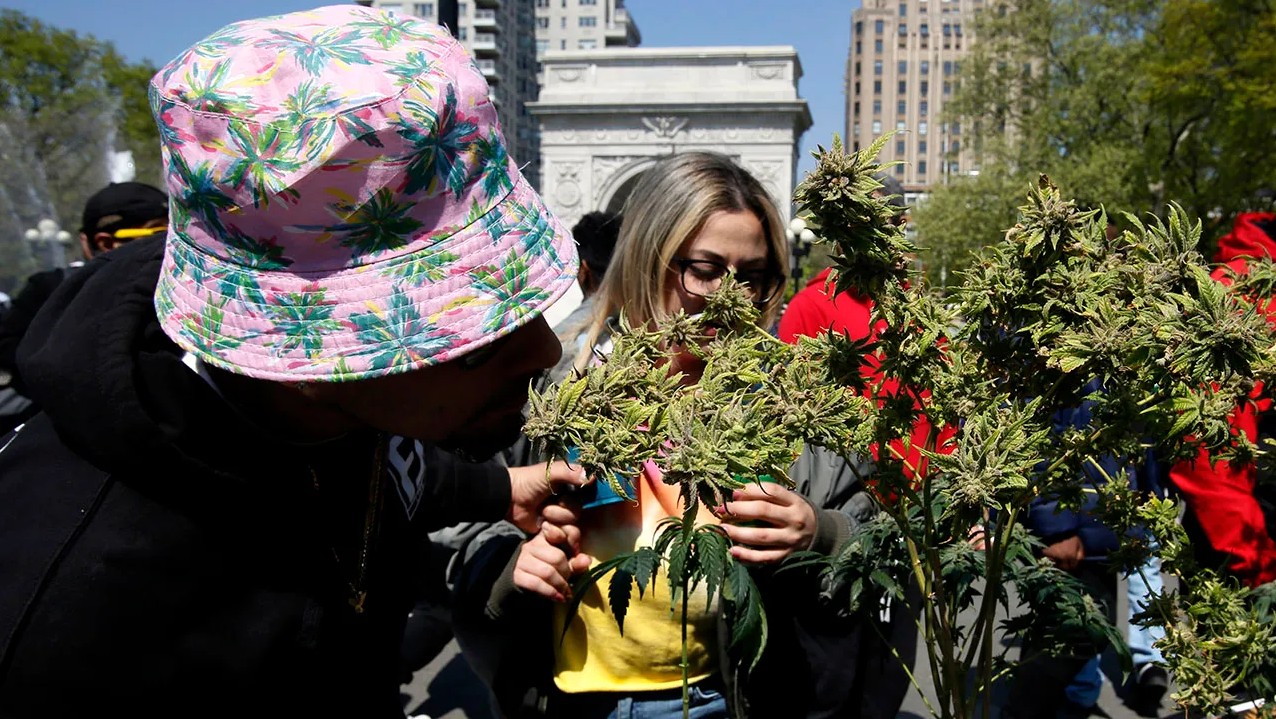 Tips for Finding the Best Dispensaries in Your Area
