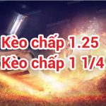 What is 1.25 Handicap? Experience in Catching Standard 1.25 Handicap