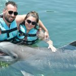 Experience Unforgettable Marine Adventures with Dolphin Discovery: Swim with Dolphins in Mexico, the Caribbean, and Beyond