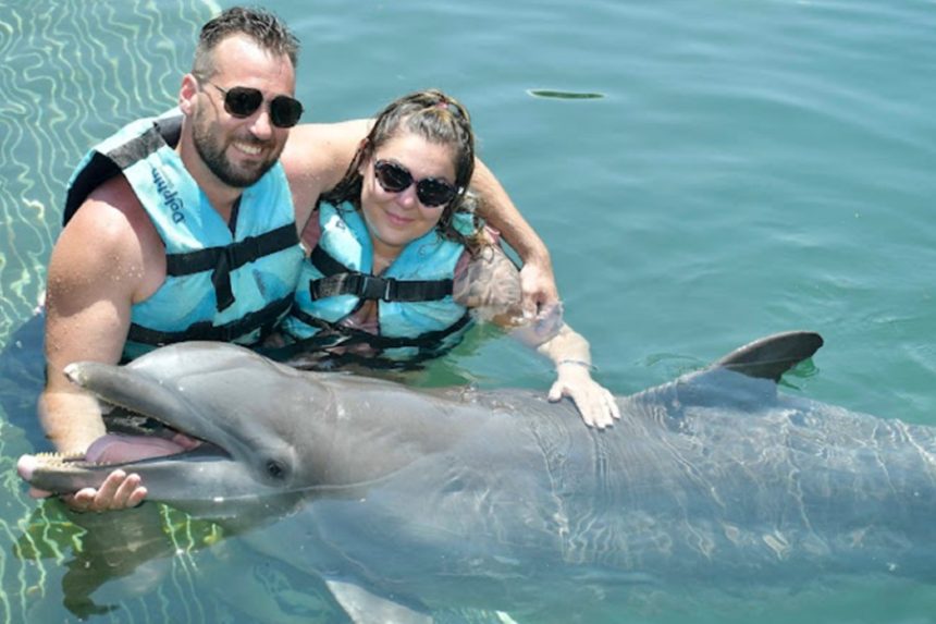 Experience Unforgettable Marine Adventures with Dolphin Discovery: Swim with Dolphins in Mexico, the Caribbean, and Beyond