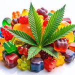 Here's How To Select The Best Online Vendors To Buy CBD Gummies