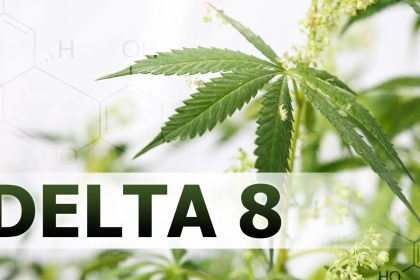 How Delta 10 Gummies Affect the Body Compared to Delta 8