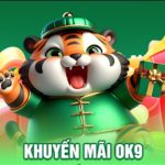 OK9 vs Other Online Betting Sites: What Sets It Apart?