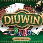 A Complete Walkthrough of Diuwin Features